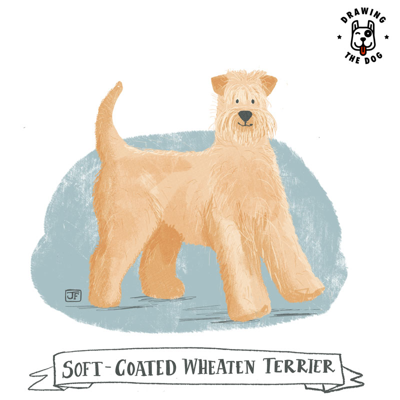 are wheaten terriers hard to train