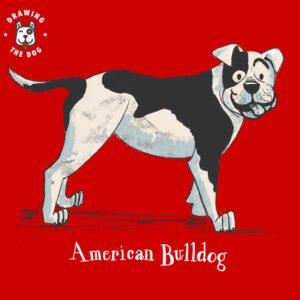 American Bulldog Drawing The Dog