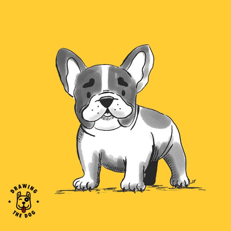 French Bulldog Feature Image Drawing The Dog