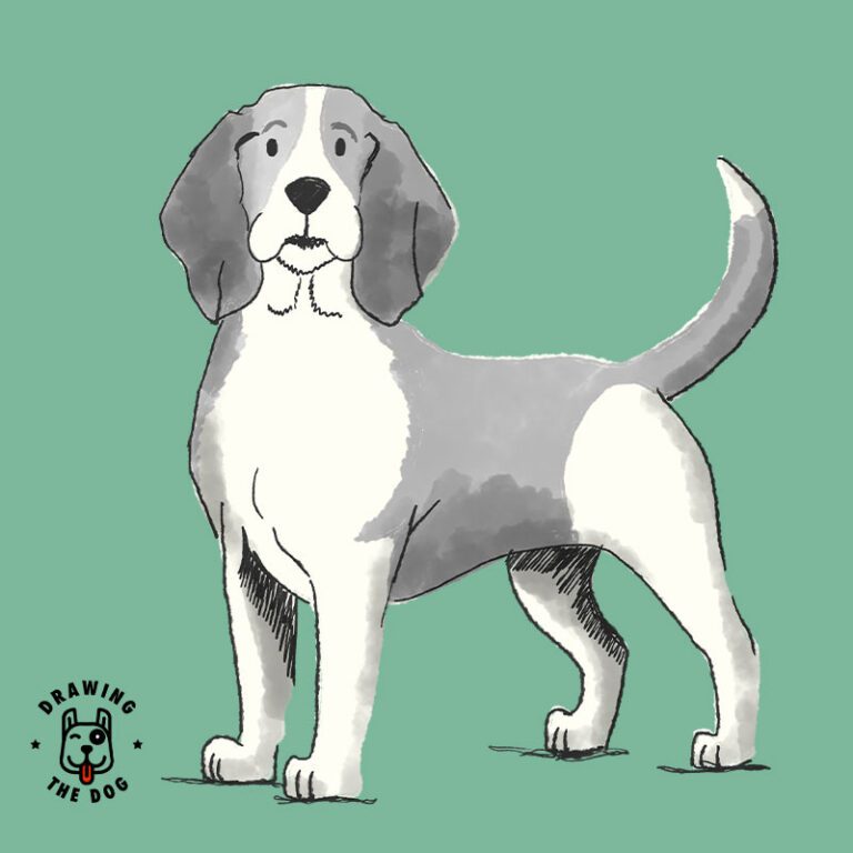 Beagle Drawing The Dog Feature Image