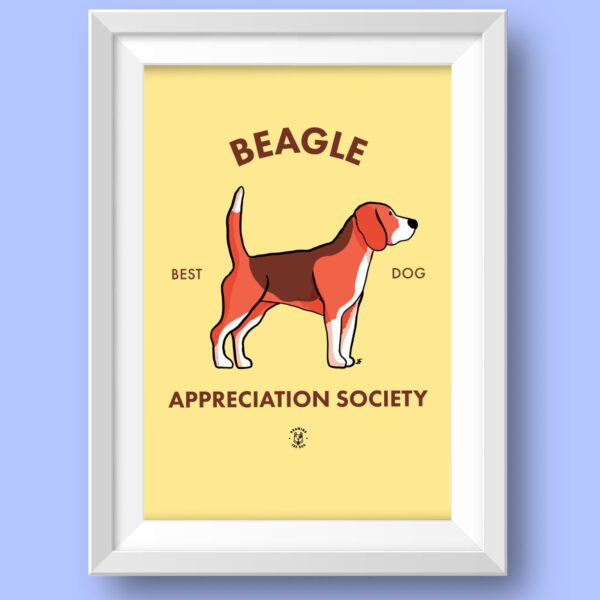 Beagle Featured