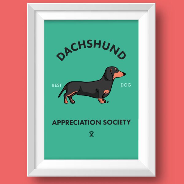 Dachshund AS Featured