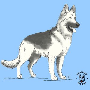 German Shepherd Drawing The Dog Blog