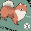 Pomeranian Appreciation Society - Closeup