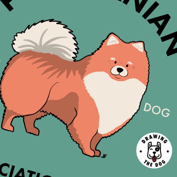 Pomeranian Art Print Closeup