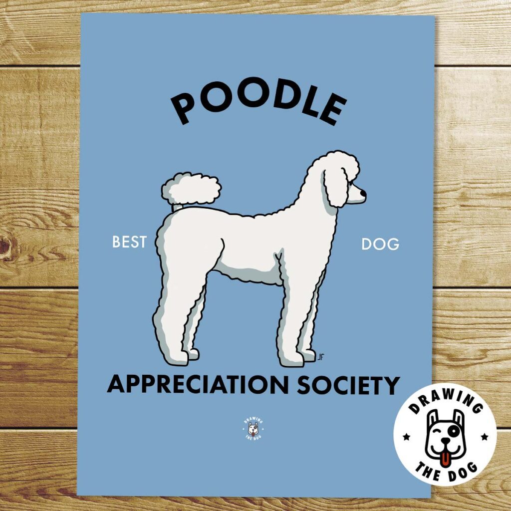 Poodle Appreciationa Society Print - Drawing The Dog