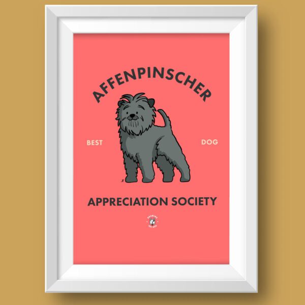 Affenpinscher AS Featured