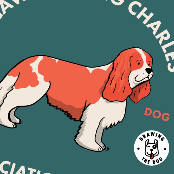 Cavalier King Charles Spaniel Art Print Closeup